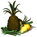 Fructe - Ananas