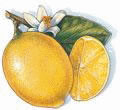 Fructe - Lamai