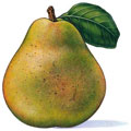 Fructe - Pere
