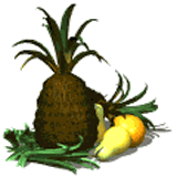 clipart-uri cu fructe 20