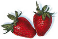 clipart-uri cu fructe 23