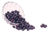 clipart-uri cu fructe 25