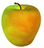 clipart-uri cu fructe 27
