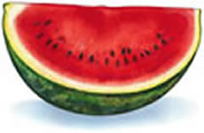 clipart-uri cu fructe 29