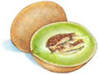 clipart-uri cu fructe 33