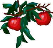 clipart-uri cu fructe 36
