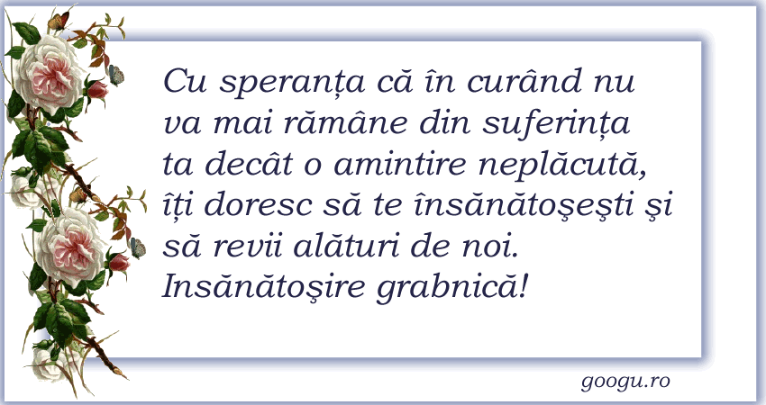 Urări de sănătate 06